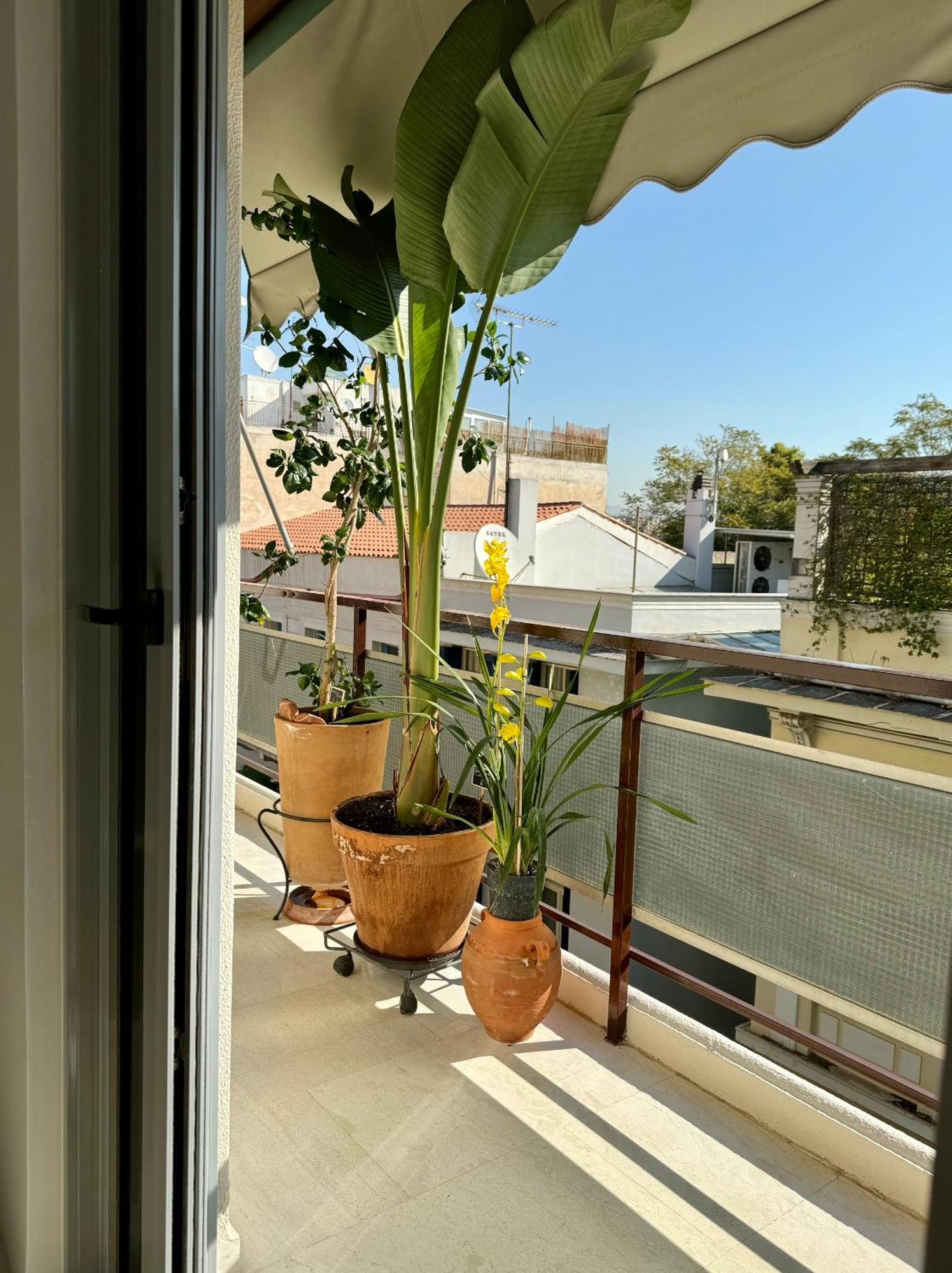 Friends & Family Apartment Atena Exterior foto